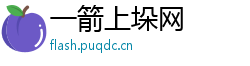 一箭上垛网